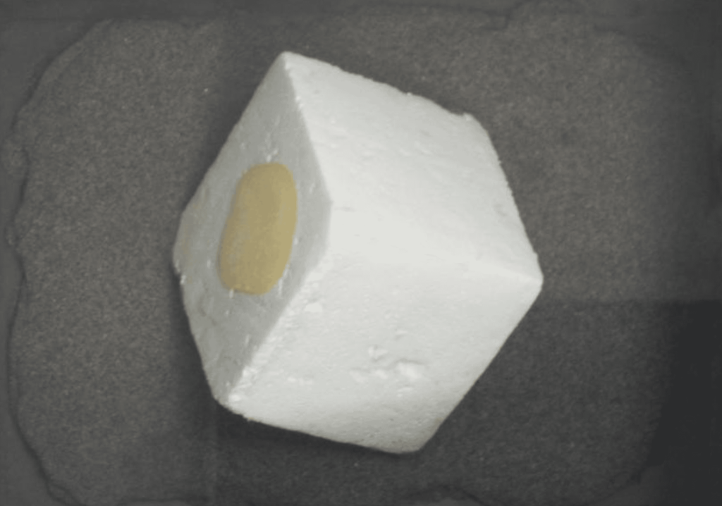 Cubo – Paola León – 2008