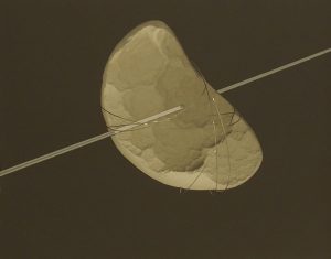 Fractal II – Blanca Muñoz – 2000