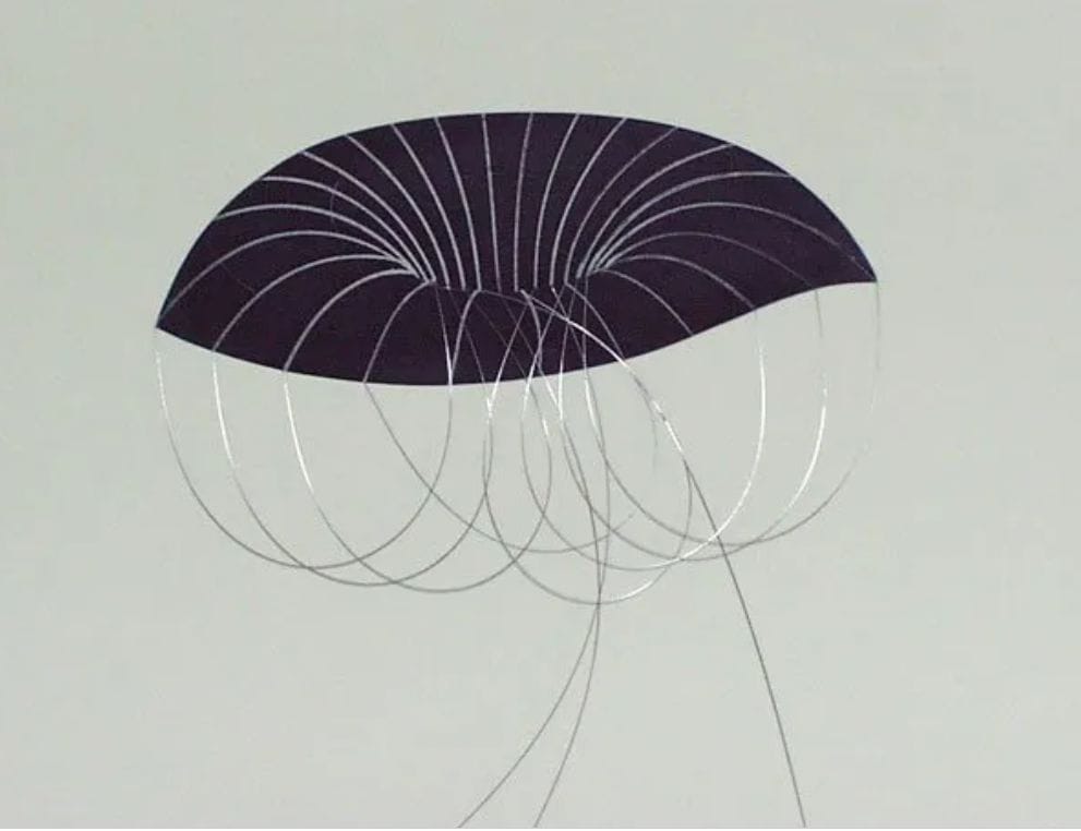 Secciones III – Blanca Muñoz – 2000