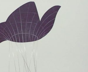 Secciones IV – Blanca Muñoz – 2000